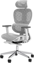 Ergo3D Ergonomic Office Chair High Back Mesh Desk Chair with 3D Adjustable Armrests, Wheels, for Home and Office (Black)