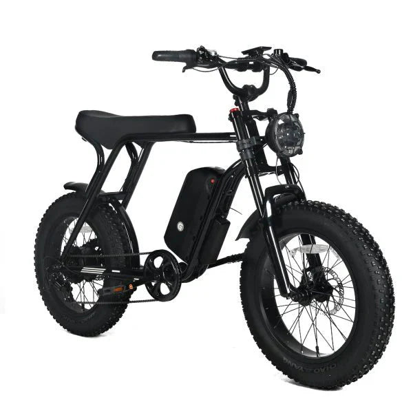 Electric Mountain Bike for Adults | 20 x 4.0 Fat Tires, 1000W Motor, 48V 20Ah Removable Battery, Max Speed 45MPH, Shi Mano