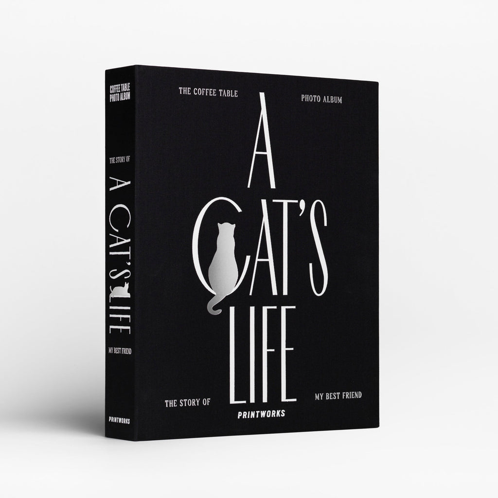 Printworks A Cat’s Life Photo Album