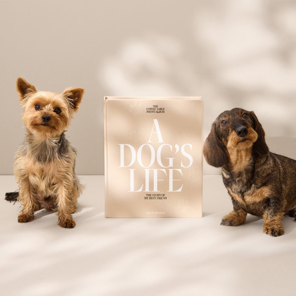 Printworks A Dog’s Life Photo Album