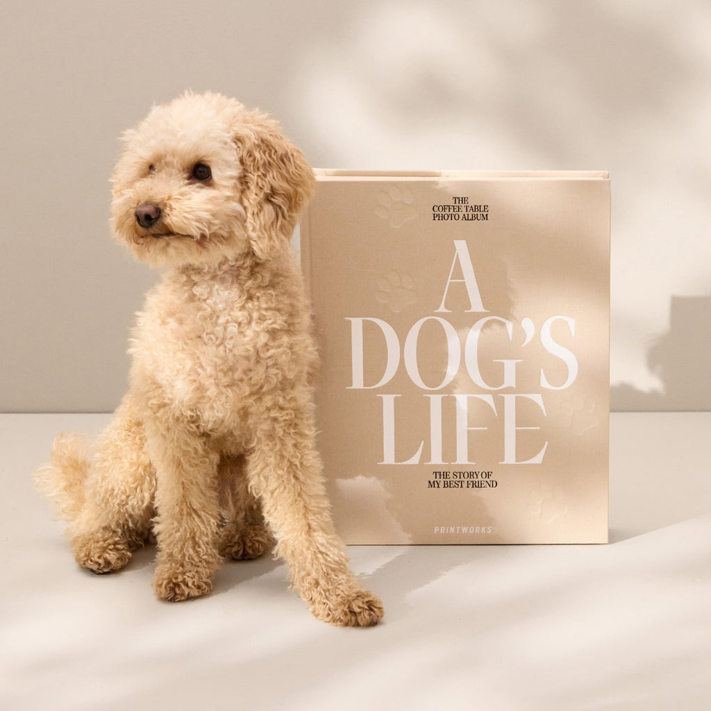 Printworks A Dog’s Life Photo Album