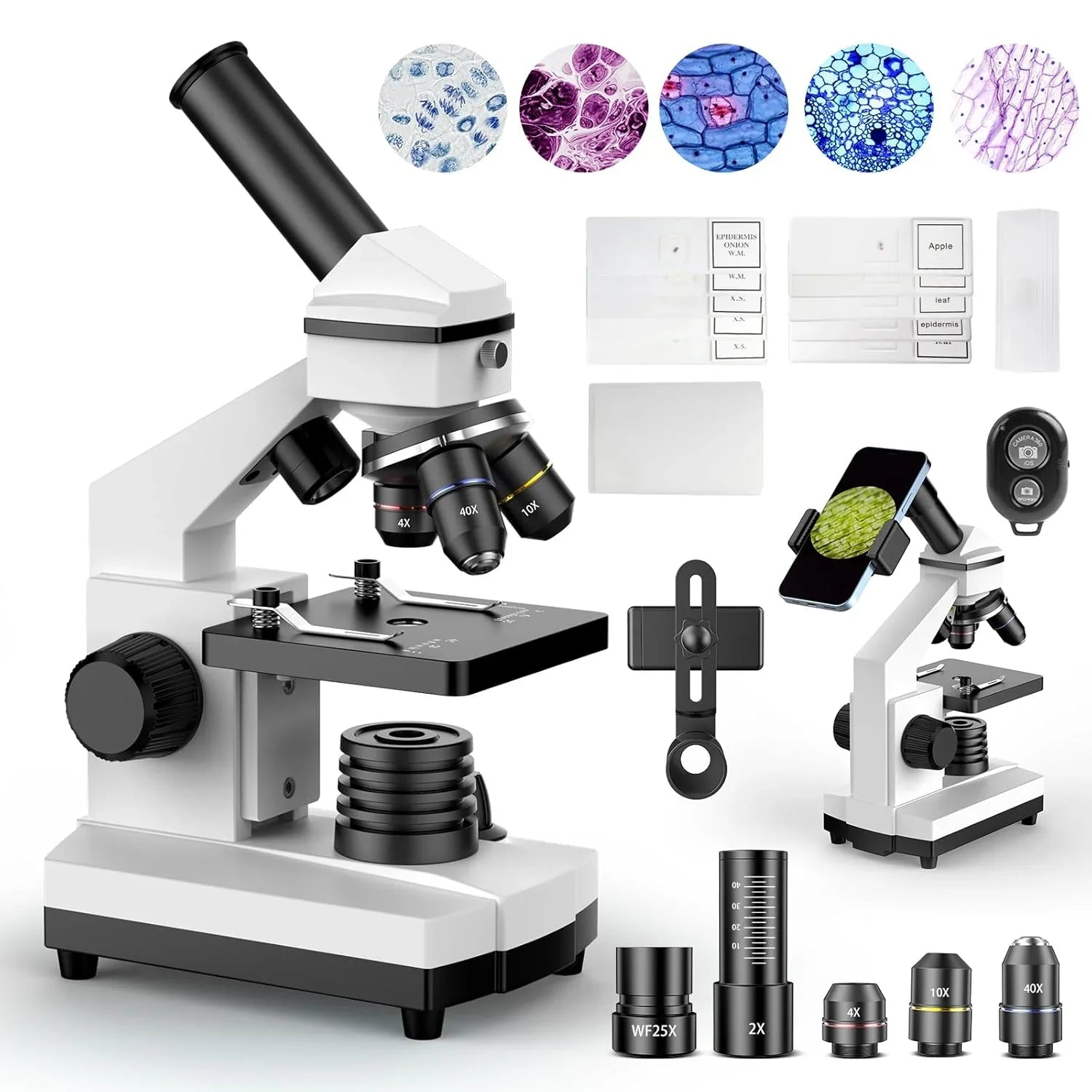 Compound Microscope for Adults & Kids - 100X-2000X High-Power Biological Microscope for Students, School Lab & Home